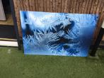 Mooie foto achter plexi glas, Ophalen of Verzenden, Zo goed als nieuw