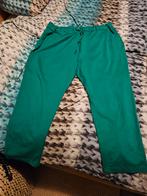 Carmakoma broek maat 54 nieuw met striklint, Kleding | Dames, Ophalen of Verzenden