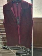 Bordeaux Gilet Maat 36-40, Maat 38/40 (M), 12 NAiZ, Nieuw, Ophalen of Verzenden