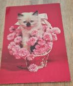 Schattige Siamese kitten in een mandje met roze bloemen, Verzamelen, Verzenden, Ongelopen, Hond of Kat