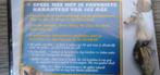 DVD Nieuw in seal: Ice Age 3 Bonus Disc, Europees, Tekenfilm, Alle leeftijden, Ophalen of Verzenden