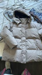 Daily paper Winter jas nog nooit gedragen, Kleding | Dames, Jassen | Winter, Daily Paper, Ophalen of Verzenden, Zo goed als nieuw