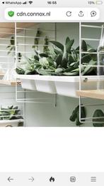 String opbergvak, Ophalen of Verzenden, Gebruikt