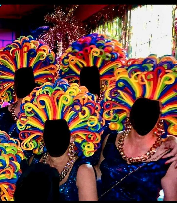 kleurrijke foompruik, 2stuks/sets perfect voor carnaval, Kleding | Dames, Carnavalskleding en Feestkleding, Zo goed als nieuw