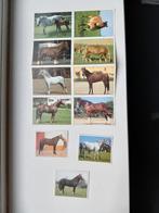 Panini paarden, Verzamelen, Stickers, Ophalen of Verzenden