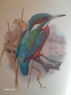 Borduurpatroon vogels, Ophalen of Verzenden, Zo goed als nieuw, Handborduren, Patroon