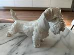 Porselein Rosenthal sealyham terrier artiest Karner 1927, Ophalen of Verzenden