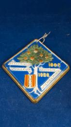 Wandtegel Regeringsjubileum Wilhemina 1938, Goedewaagen. 6C9, Tweedehands verkoop, Tweedehands verkoop, Gebruikt, Ophalen of Verzenden