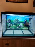 Aquarium Superfish tropical 100 eventueel met accessoires, Dieren en Toebehoren, Vissen | Aquaria en Toebehoren, Ophalen, Zo goed als nieuw