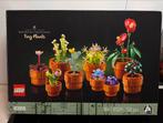 Lego Icons Tiny Plants 10329 - Zo goed als nieuw, Ophalen of Verzenden, Zo goed als nieuw, Complete set, Lego