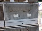 Broedkooien, Dieren en Toebehoren, Ophalen, Gebruikt, Kunststof, Broedkooi of Kweekkooi