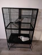 Rattenkooi (knaagdieren), Dieren en Toebehoren, Ophalen, Zo goed als nieuw, 90 cm of meer, 75 tot 110 cm