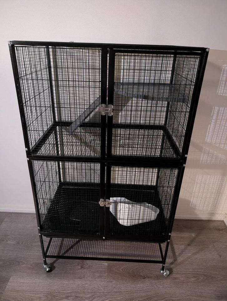 Rattenkooi (knaagdieren), Dieren en Toebehoren, Knaagdieren en Konijnen | Hokken en Kooien, Zo goed als nieuw, Kooi, 90 cm of meer