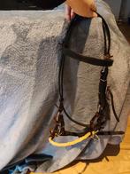 Bitloos hoofdstel maat cob, Dieren en Toebehoren, Ophalen