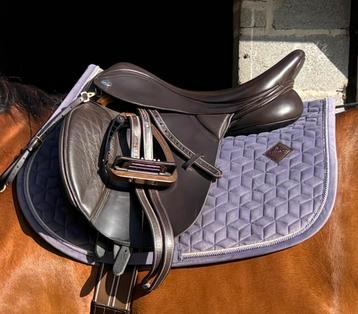 Kentucky velvet paars beschikbaar voor biedingen