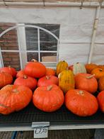 Verschillende pompoenen, Ophalen