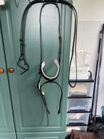 Hoofdstel Neusriem met sper riem Pagony Full / Pagony teugel, Ophalen of Verzenden, Gebruikt, Dressuur