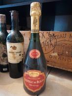 Champagne Chateau Bligny 1995, Ophalen of Verzenden, Champagne, Zo goed als nieuw
