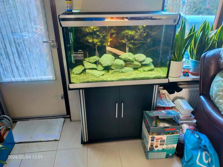 Trofis aquarium 100x55x40 cm glasmaat, Dieren en Toebehoren, Vissen | Aquaria en Toebehoren, Zo goed als nieuw, Gevuld zoetwateraquarium
