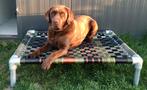 Hondenkussen ✅ hondenmand hondenstretcher bed bull dog puppy, Ophalen, Nieuw