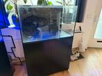 Red sea reefer 250 zeeaquarium, Ophalen, Gebruikt, Leeg aquarium