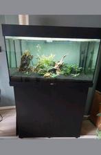Compleet aquarium - Juwel rio 125, Dieren en Toebehoren, Vissen | Aquaria en Toebehoren, Ophalen, Zo goed als nieuw, Gevuld zoetwateraquarium