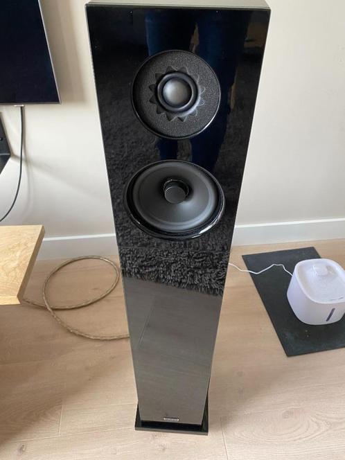 Audio Physic Classic 20, Audio, Tv en Foto, Luidsprekers, Gebruikt, Front, Rear of Stereo speakers, 60 tot 120 watt, Overige merken