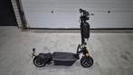 Elektrische step met kenteken + zitje (voor volwassen!), Ophalen of Verzenden, Zo goed als nieuw, Elektrische step (E-scooter)