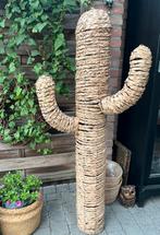 Cactus, Ophalen of Verzenden, Zo goed als nieuw