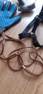 4 honden accessoires   €1 p.s., Ophalen of Verzenden, Gebruikt