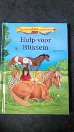 De ponygekke vriendinnen. Hulp voor bliksem, Boeken, Ophalen of Verzenden, Zo goed als nieuw