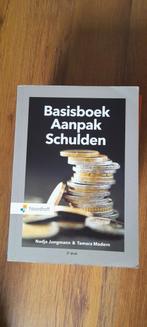 Nadja Jungmann - Basisboek aanpak schulden, Sociale wetenschap, Ophalen of Verzenden, Zo goed als nieuw, Nadja Jungmann; Tamara Madern