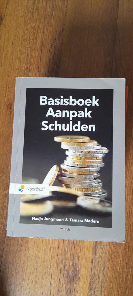 Nadja Jungmann - Basisboek aanpak schulden, Boeken, Wetenschap, Zo goed als nieuw, Sociale wetenschap, Ophalen of Verzenden