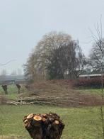 Gratis wilgentenen/wilgentakken af te halen, Tuin en Terras, Schuttingen, Ophalen, Hout, 6 meter of meer, 1 tot 2 meter