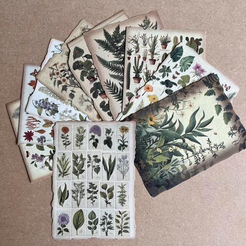 10 velletjes vintage look papier, 10x14 cm, groene planten, Hobby en Vrije tijd, Scrapbooking, Ophalen of Verzenden