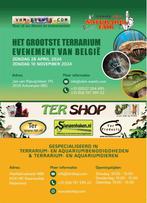 Naturaria Fair Antwerpen 28-04-2024, 0 tot 2 jaar, Hagedis