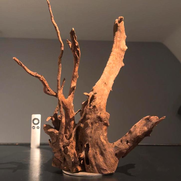 Uniek stuk Kienhout / Driftwood / Spiderwood, Hout Decoratie, Dieren en Toebehoren, Vissen | Aquaria en Toebehoren, Zo goed als nieuw