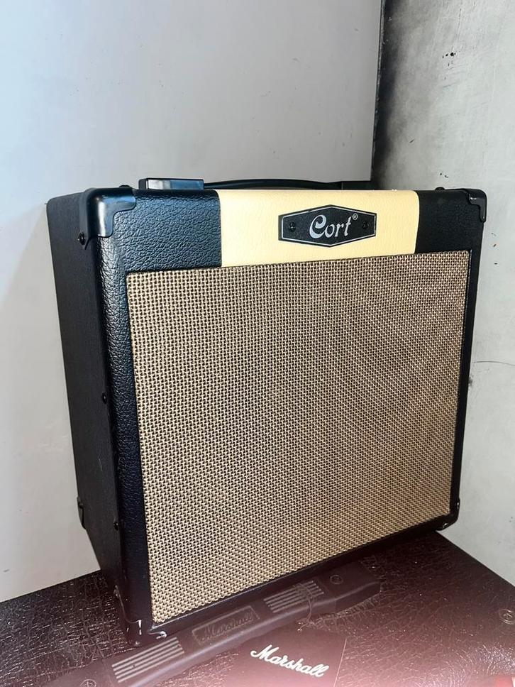 Gort amp, Muziek en Instrumenten, Effecten, Gebruikt, Ophalen of Verzenden