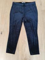 Zwarte fluwelen broek L. Ashley Brooke., Kleding | Dames, Zwart, Maat 42/44 (L), Ophalen of Verzenden, Zo goed als nieuw