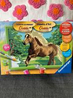 Schilderen op nummer voor kind: pony paard haflinger, Een of twee spelers, Ophalen of Verzenden, Nieuw, Ravensburger