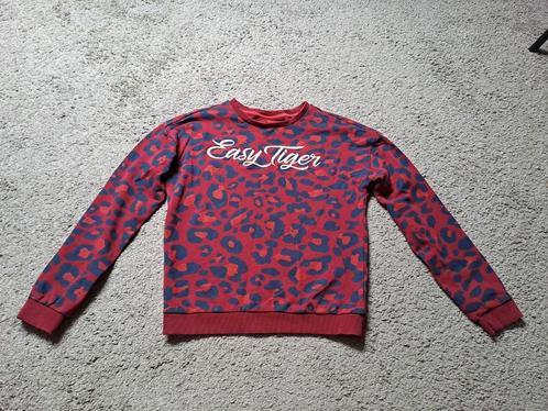 WE trui maat 146/152, Kinderen en Baby's, Kinderkleding | Maat 146, Zo goed als nieuw, Meisje, Trui of Vest, Ophalen of Verzenden