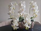 Schelpenvaas met orchideeën, Huis en Inrichting, Ophalen, Zo goed als nieuw