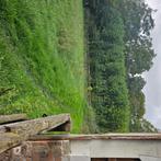 Gevraagd leuke 15+ pony max 115 cm ruin, Dieren en Toebehoren, Pony's, Gechipt, Ruin, Niet van toepassing, A pony (tot 1.17m)