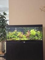 Aquarium met alle toebehoren 180 liter, Dieren en Toebehoren, Vissen | Aquaria en Toebehoren, Ophalen, Zo goed als nieuw, Gevuld zoetwateraquarium