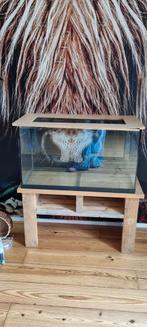 Hamster terrarium/ hamster verblijf, Dieren en Toebehoren, Ophalen, Hok, Hamster, Minder dan 60 cm