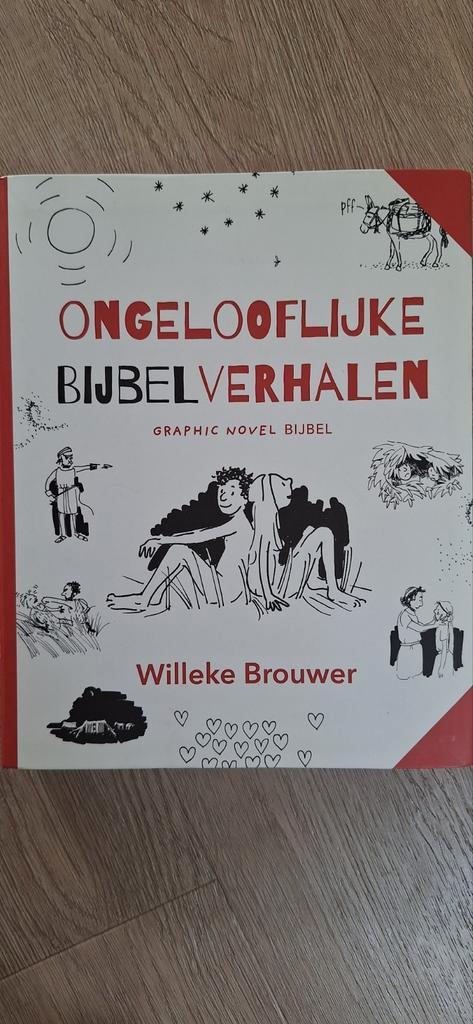 Willeke Brouwer - Ongelooflijke bijbelverhalen, Boeken, Godsdienst en Theologie, Zo goed als nieuw, Ophalen of Verzenden