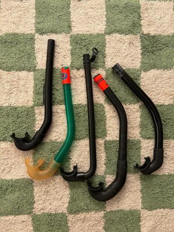 Diverse snorkels beschikbaar voor biedingen