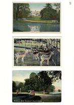 Ansichtkaarten oud Arnhem, deel 1, Verzamelen, Ophalen of Verzenden, Voor 1920, Gelopen, Gelderland