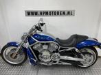 Harley Davidson VRSCAW V-ROD V ROD NIGHTROD SPECIAL ABS 1250, Motoren, Chopper, Bedrijf, Meer dan 35 kW, 1247 cc