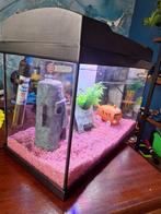 Aquarium compleet, Ophalen, Gebruikt, Leeg aquarium